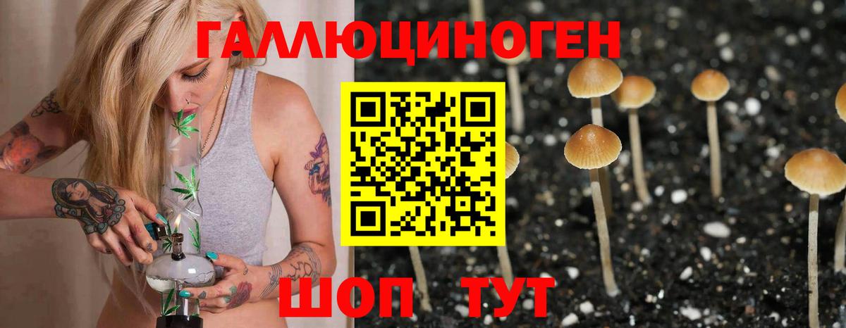 Псилоцибиновые грибы Magic Shrooms Коломна